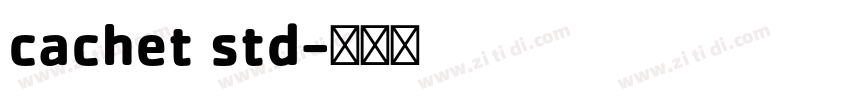 cachet std字体转换